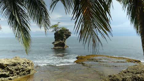 steep rocky tropical island framed by palm leaves
