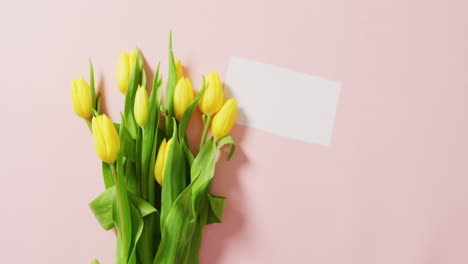 Image-of-yellow-tulips-and-card-with-copy-space-on-pink-background