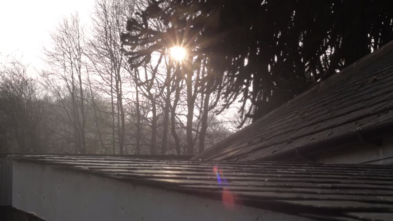 Sun shines through trees near rural building tilting shot