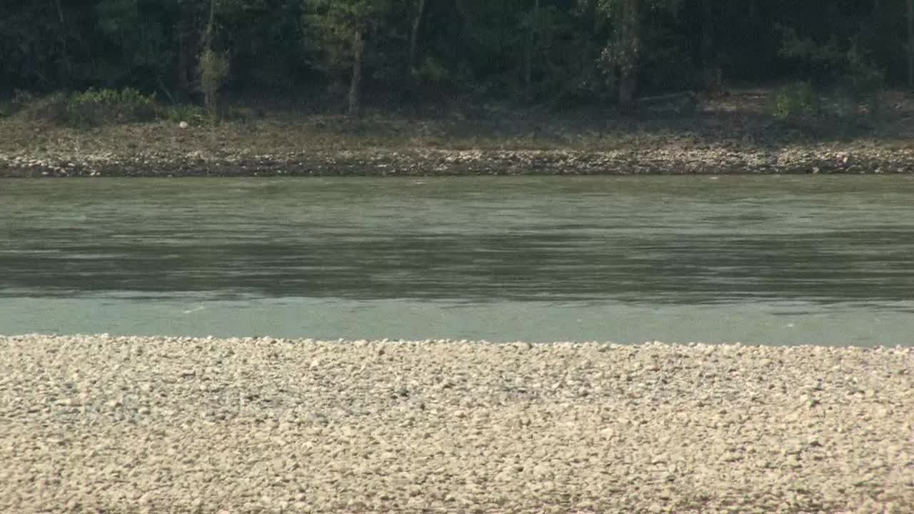 Fast flowing Fraser River British Columbia Canada