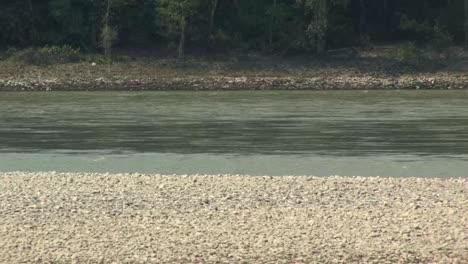 fast flowing fraser river british columbia canada