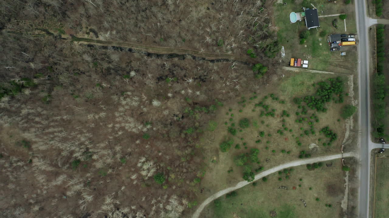 camino lateral de campo con tierra estéril y árboles y hierba