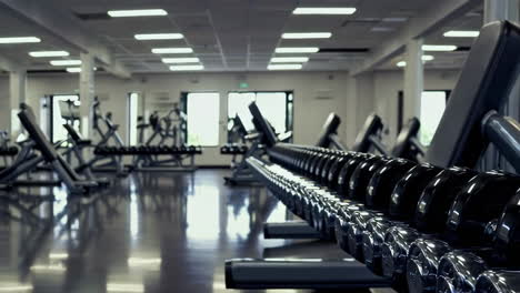 dumbbell rack in a modern gym