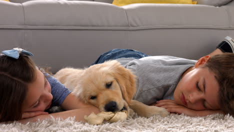 hermanos felices con su cachorro en casa