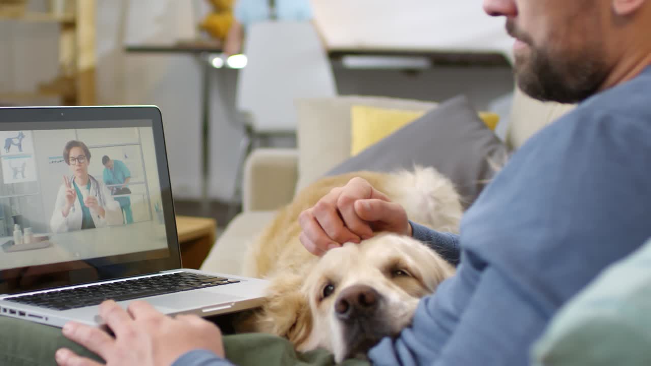 병든 개와 함께 온라인 수의사와 상담하는 사람