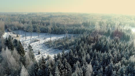 Toma-Aérea-Cinematográfica-De-Nieve-Ligera-Cayendo-Sobre-Un-Paisaje-Boscoso-Cubierto-De-Nieve