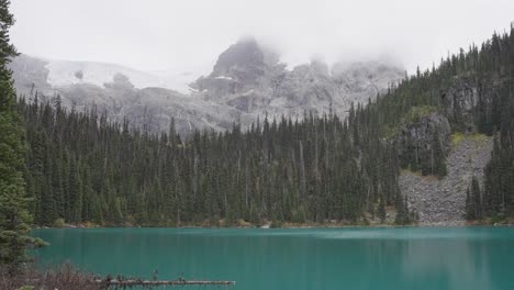 parque de los lagos joffre, canadá b