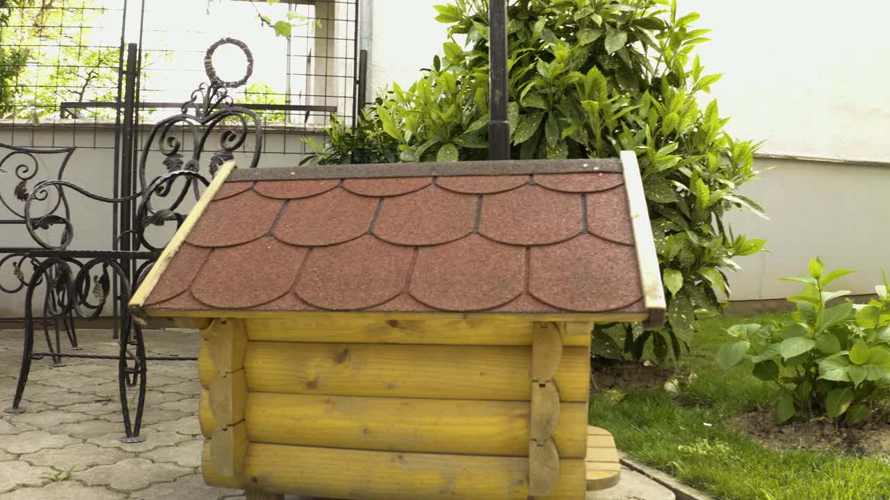 el perro está ladrando en la cámara 4k, un nuevo amigo desconocido lo asusta