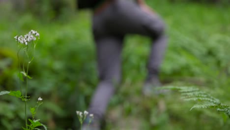 pan from defocused greenery to content creator hiking and enjoying view