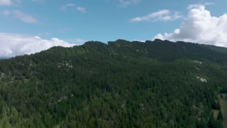 Hill-of-green-pines-with-ondulations-and-clouds