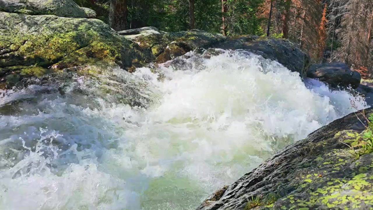 Wild river rapids cascading over granite rocks in a green forest, foamy whitewater rushing downstream through rugged wilderness, outdoor adventure and nature scenery.