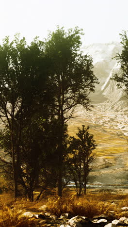 a scenic view of a mountain landscape with trees and grass