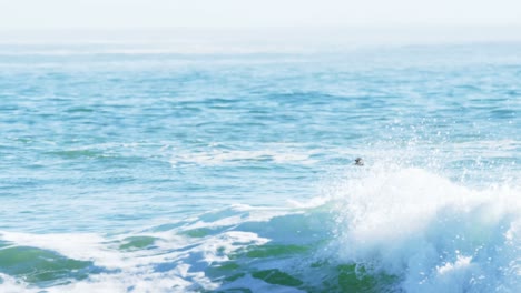 Surfers surfing in sea