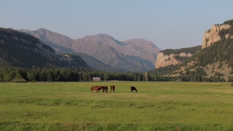 horses graze in a peaceful green valley with majestic mountains in the background, sunny day