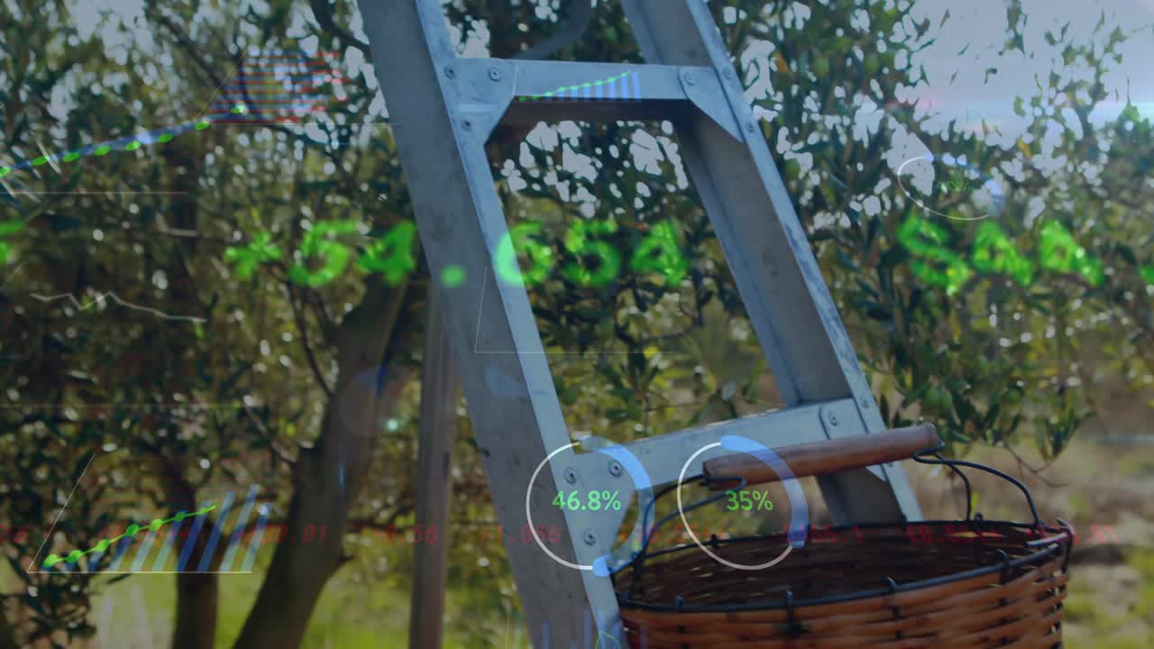 Pulsing finance charts driving pan revealing ladder and basket in olive grove showcasing ROI growth