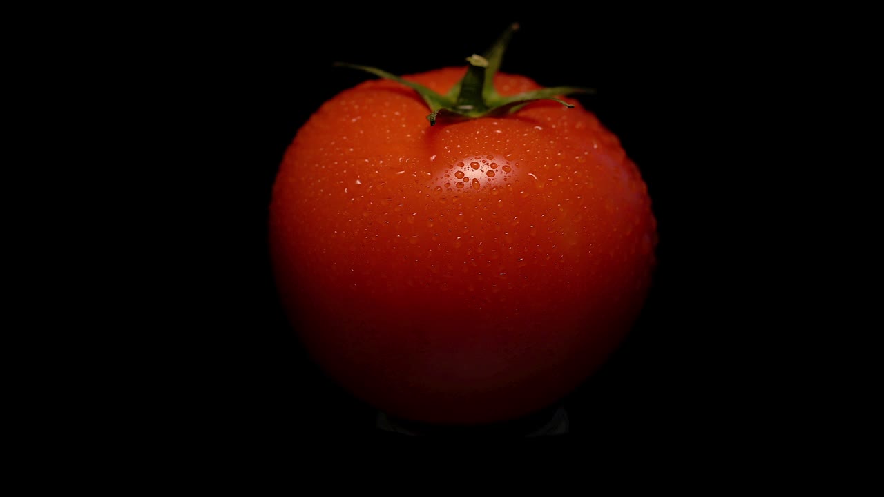 회전 토마토 루프 4k