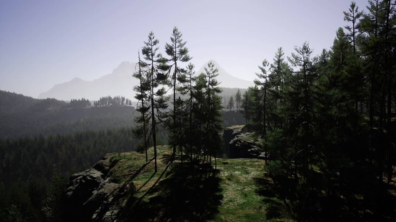 Majestic mountain landscape with pine trees under a bright blue sky