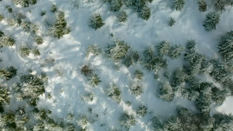 Slow-revealing-shot-from-a-snow-covered-forest-to-a-wide-scenic-landscape-in-winter,-Black-Forest,-Germany