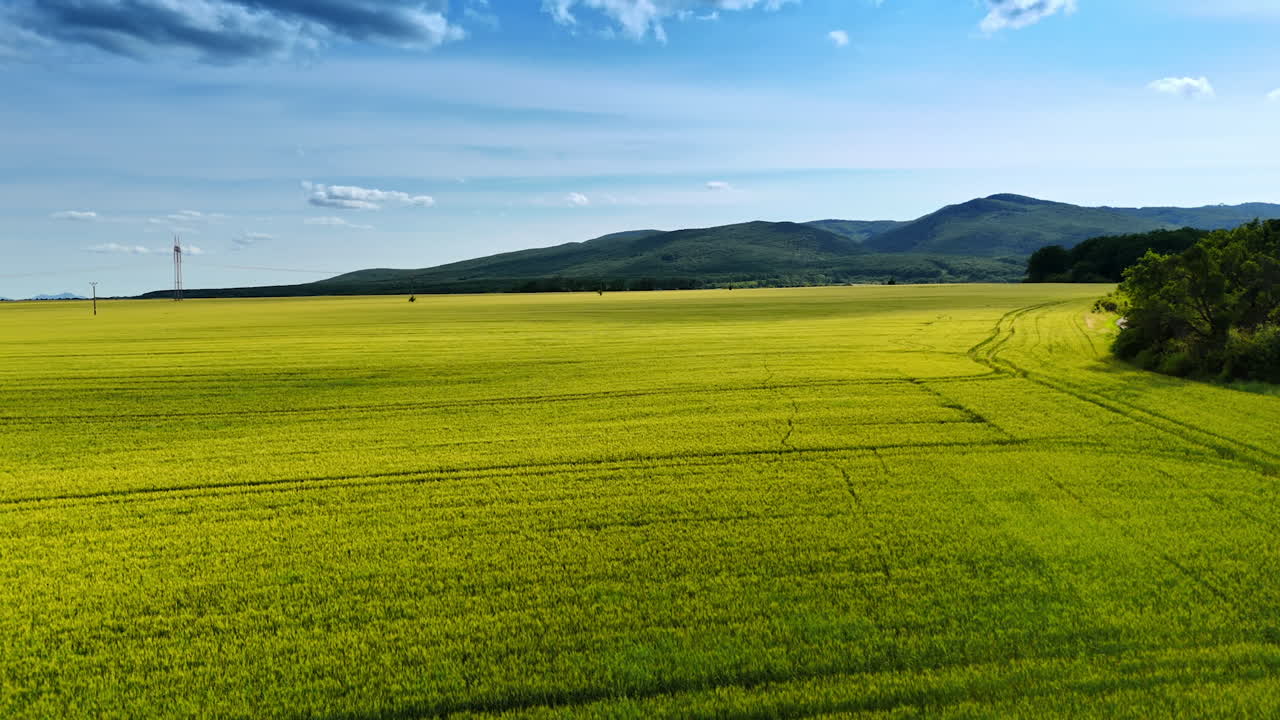 Vibrant green fields under a blue sky. Lush green fields stretch across the landscape with rolling hills in the background and a clear blue sky overhead