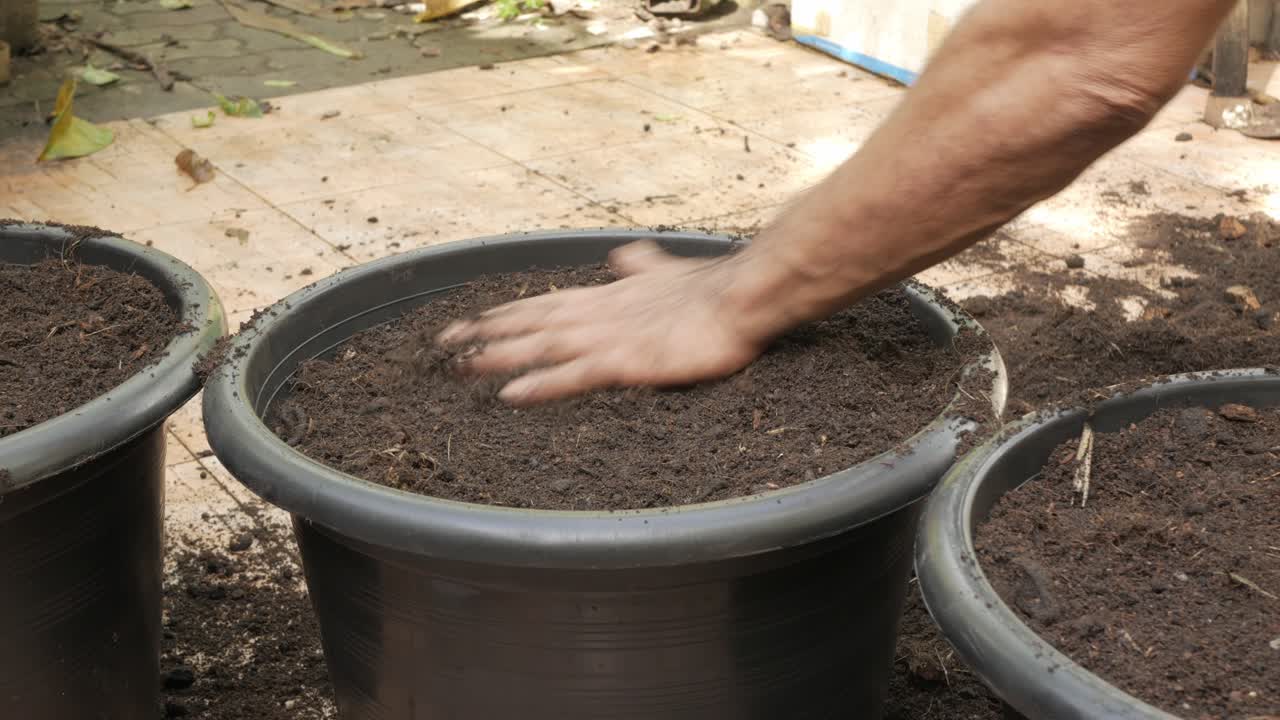 mano che prepara il terreno in una grande pentola per il giardinaggio giovane marijuana di cannabis di canapa