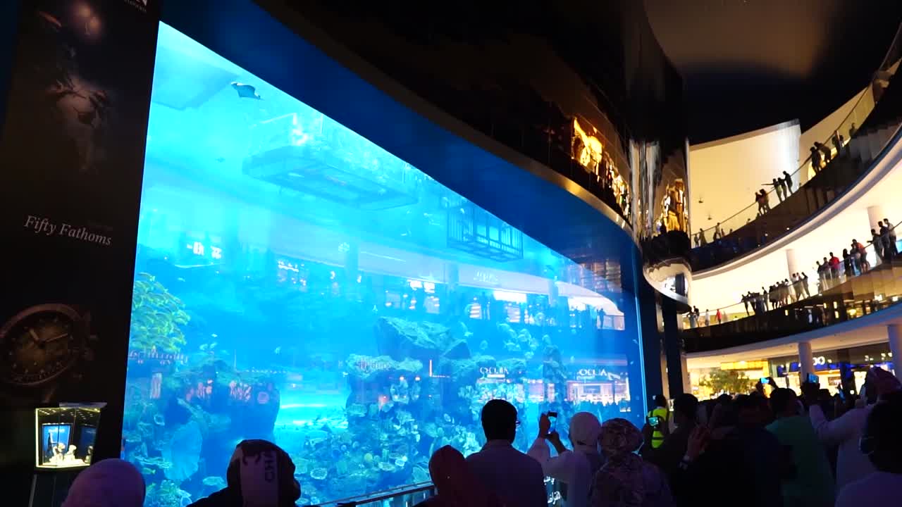 gente mirando el acuario del centro comercial dubai