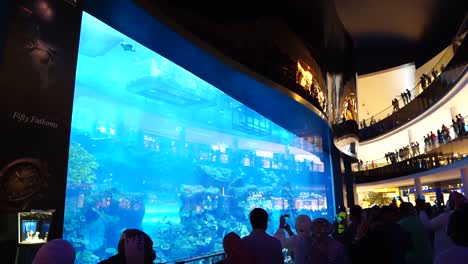 people watching the dubai mall aquarium