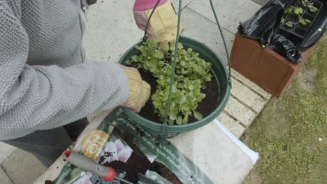 Close-up-female-potting-plants-outdoors-during-spring