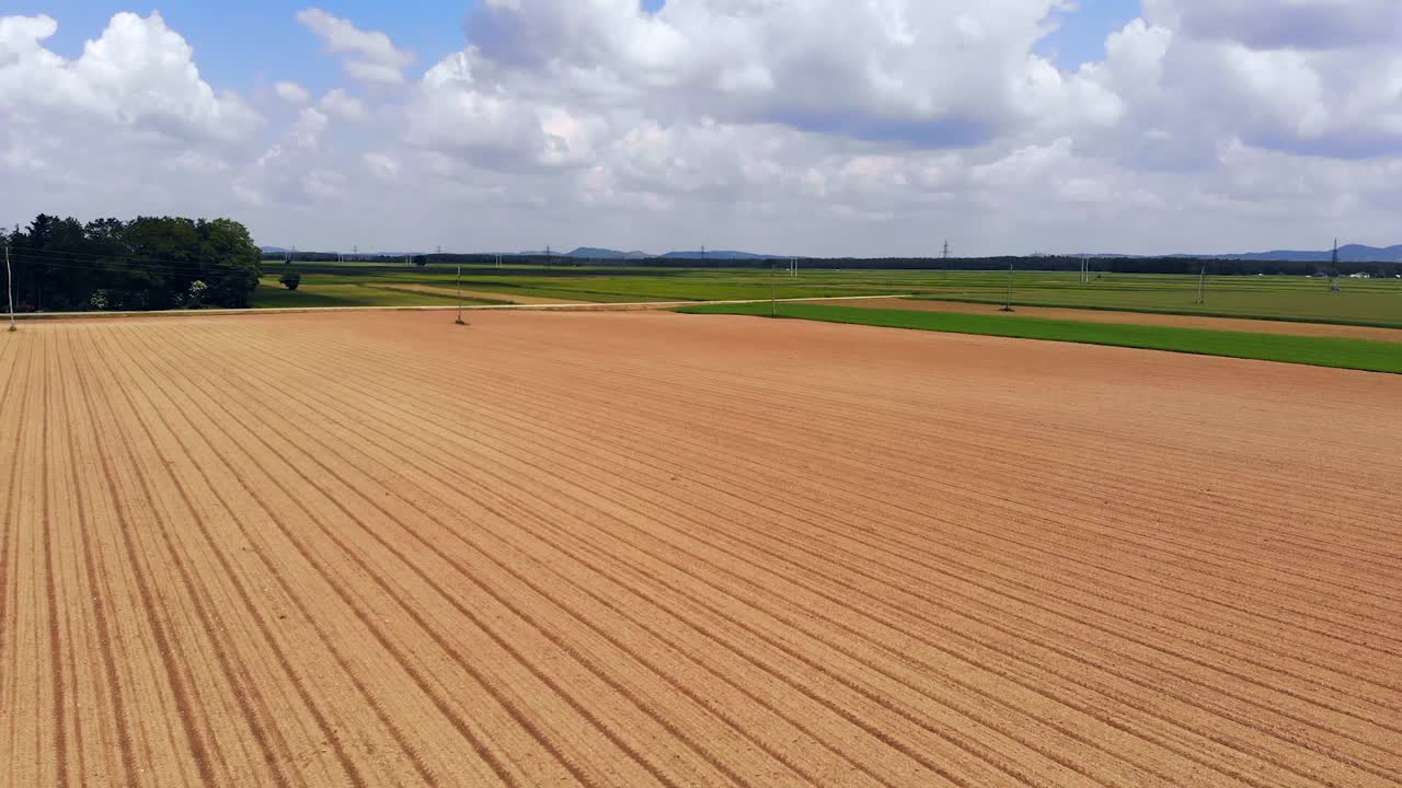 Malerischer Luftaufnahme-Rückwärtsflug über leerem Feld und Weide