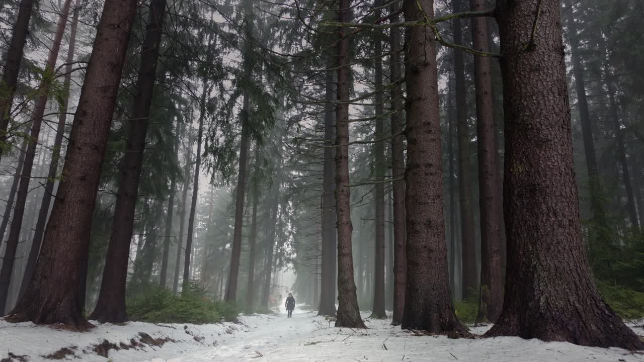 Man walking through a misty winter forest, surrounded by snow-covered trees. The fog creates an ethereal atmosphere, blending the white landscape with the soft, muted light of the season.