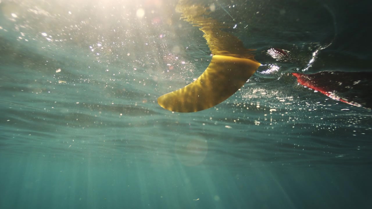 Golden surfboard fin beneath shimmering ocean surface with sunbeams extending into turquoise water