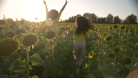 Frauen-In-Einem-Sonnenblumenfeld