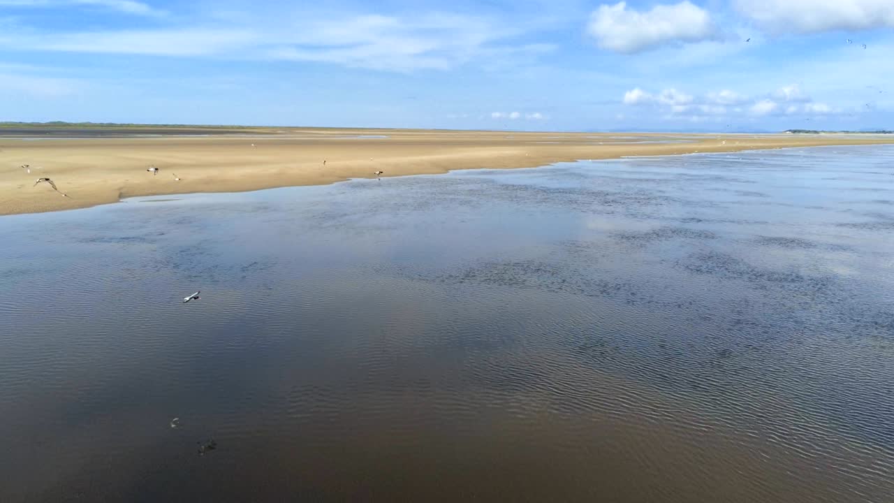 vista aérea, estática, movimiento inverso. panorama del dron sobre la marea baja, mar y arena. bandada de pájaros volando frente a la cámara
