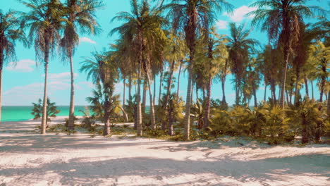 miami south beach park with palms