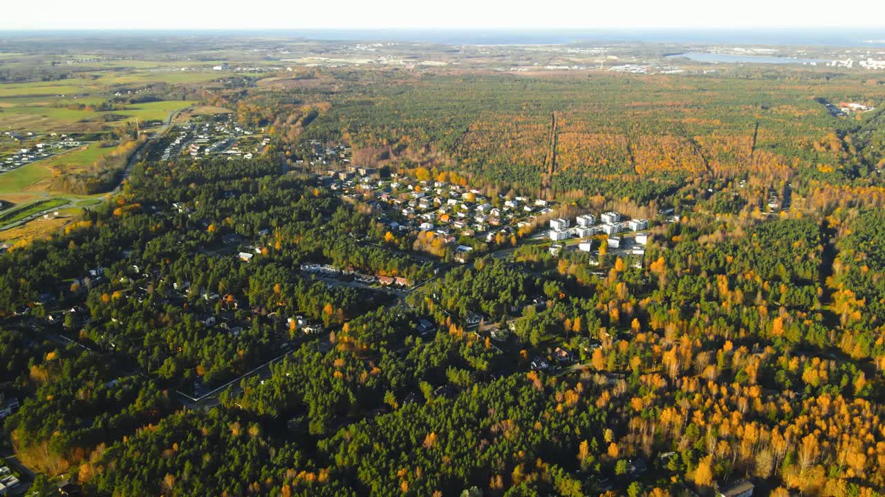 Aerial drone video flying over a gorgeous sunny autumn time urban small town with small houses, yellow and green trees between houses and roads during morning time with horizon visible in the back