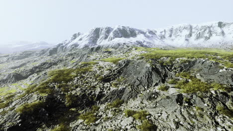 terreno rocoso con parches de hierba cerca de las montañas cubiertas de nieve al amanecer
