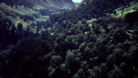 vibrant green forest landscape under a cloudy sky in a mountainous area