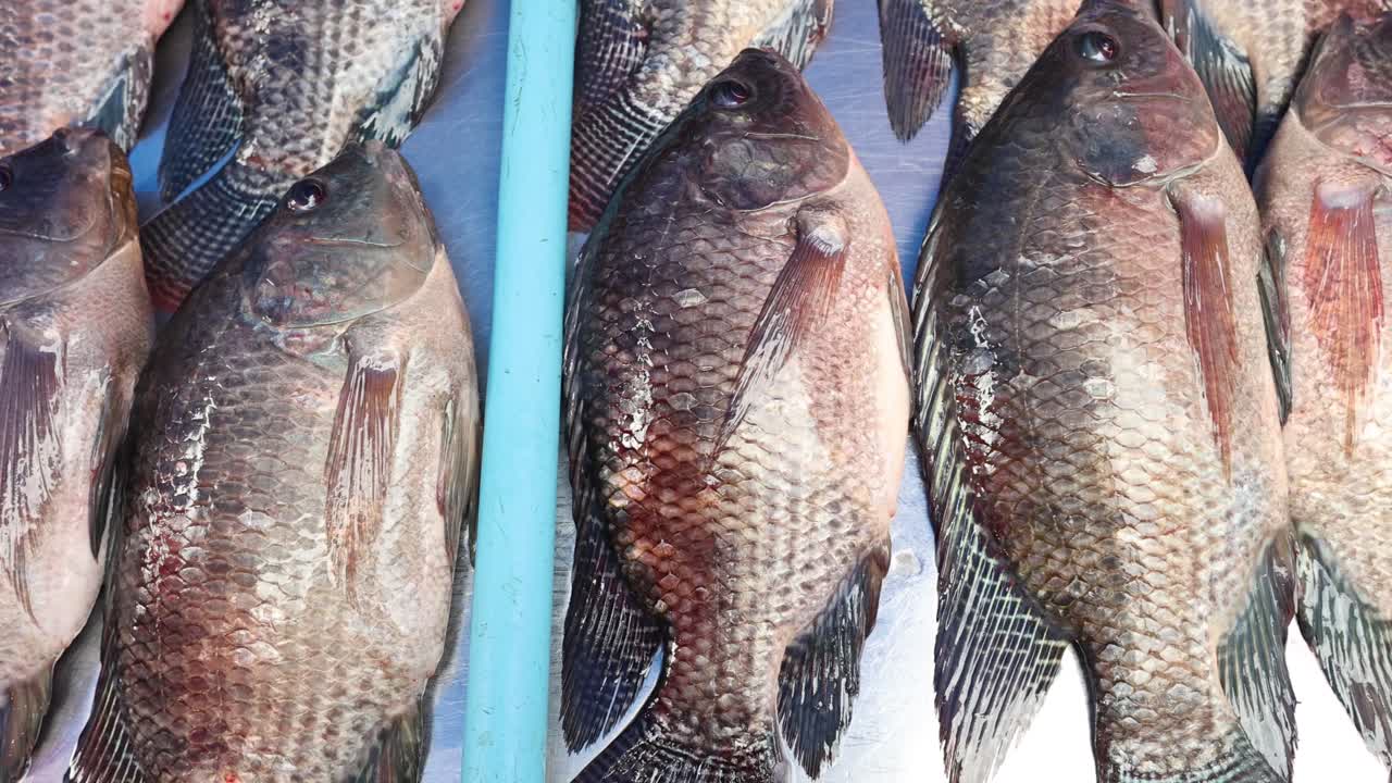 tilapia en el hielo en un mercado de mariscos