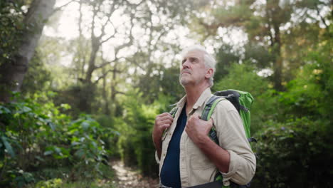 man hiking in forest