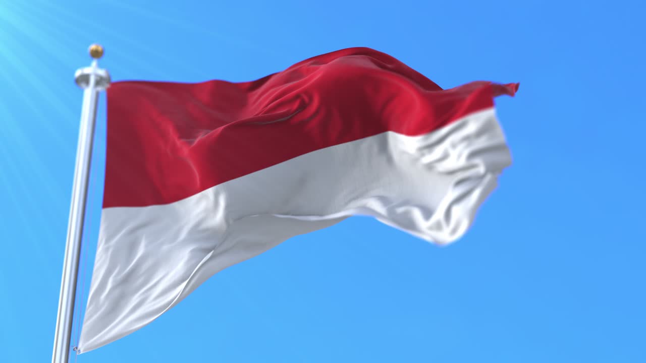 Bendera Wina, ibu kota Austria. Loop.
