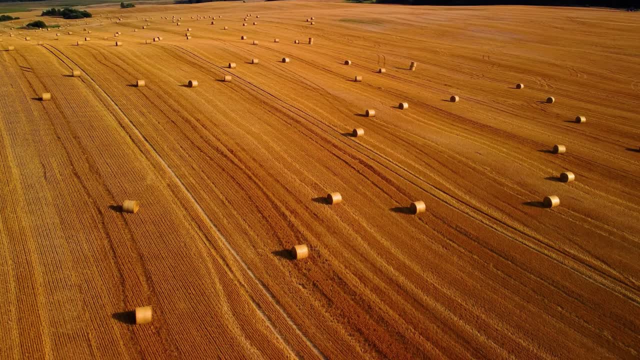 vista aérea de un gran campo marrón industrial con muchos fardos de heno en el campo 4k