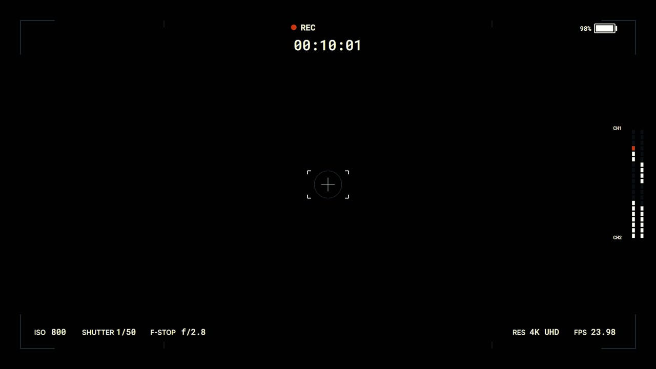 Digital Camera Recording Interface Overlay