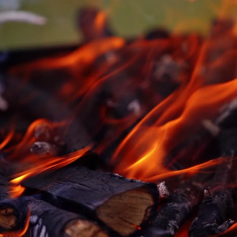 fire flame in burning wood. black wooden logs smoldering in flame for barbeque. hot campfire. close-up. slow motion.