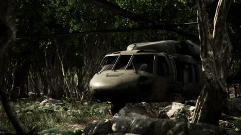 Military-helicopter-in-deep-jungle