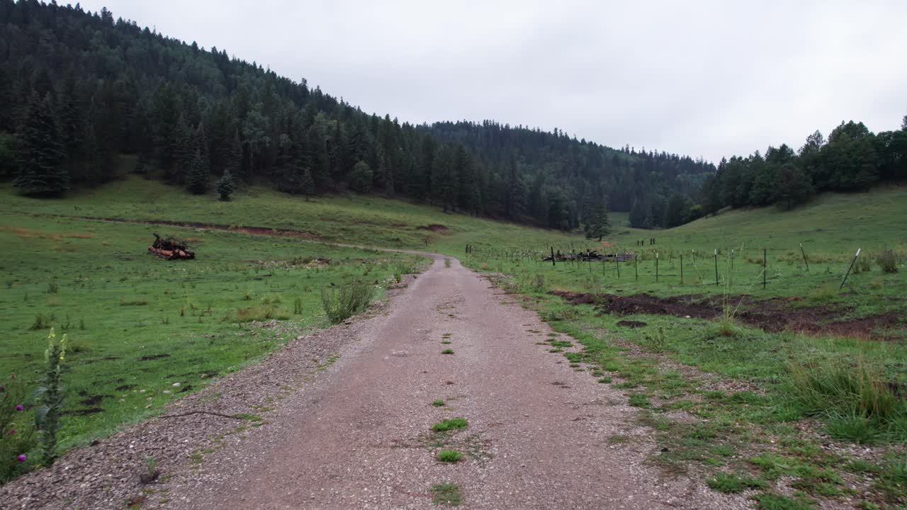 volando bajo sobre el camino de tierra en las montañas del bosque