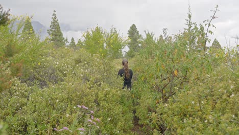 person walking through plants, handheld static