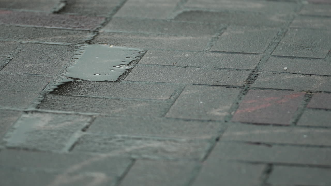 포장된 도로에 이슬비가 내린다.