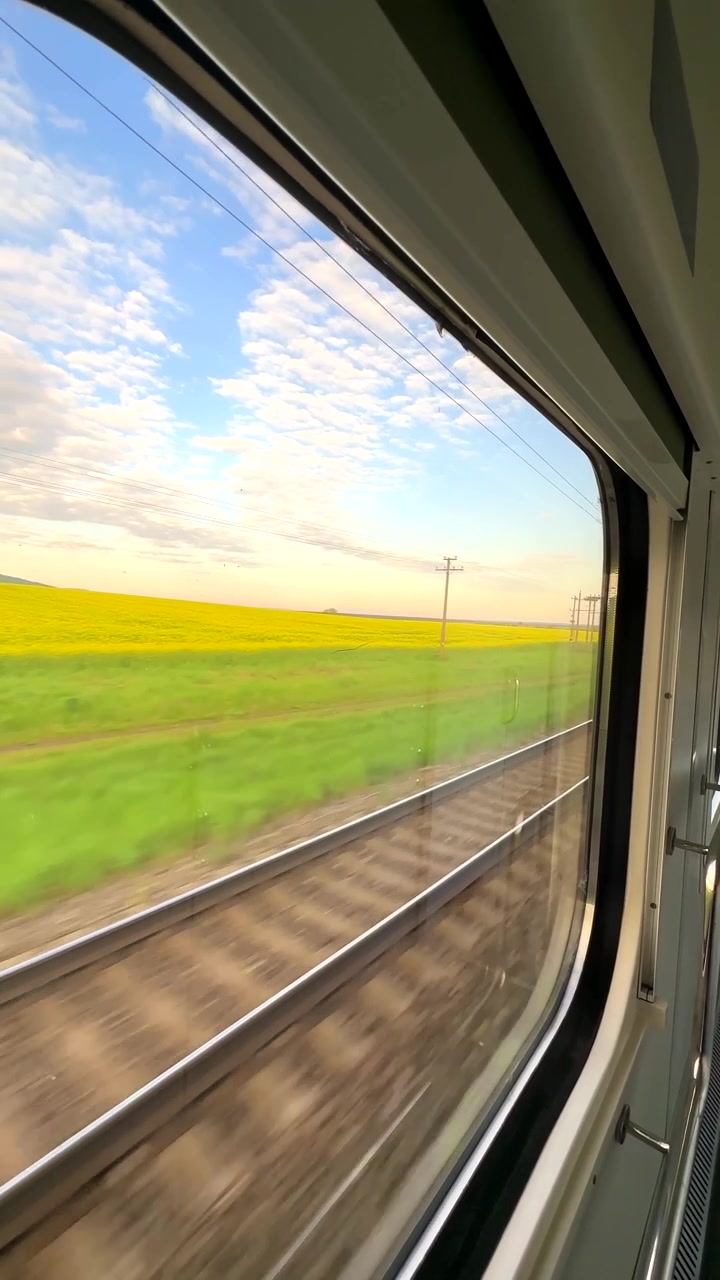 View of Yellow Rapeseed Field from Moving Train Window
