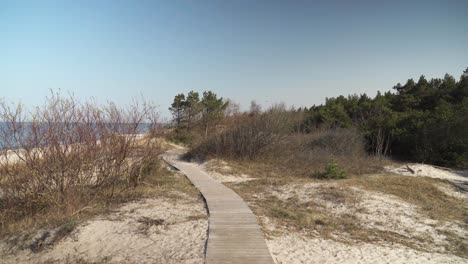 wooden path near melnrage beach leading into the pine forest in klaipeda