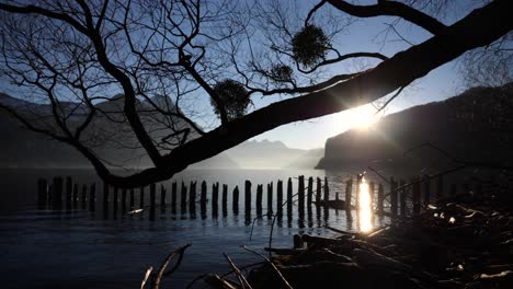 Slow-sliding-shot-under-a-tree-in-the-morning-sunrise-at-the-shore-of-a-fjord-lake-in-Weesen,-Switzerland