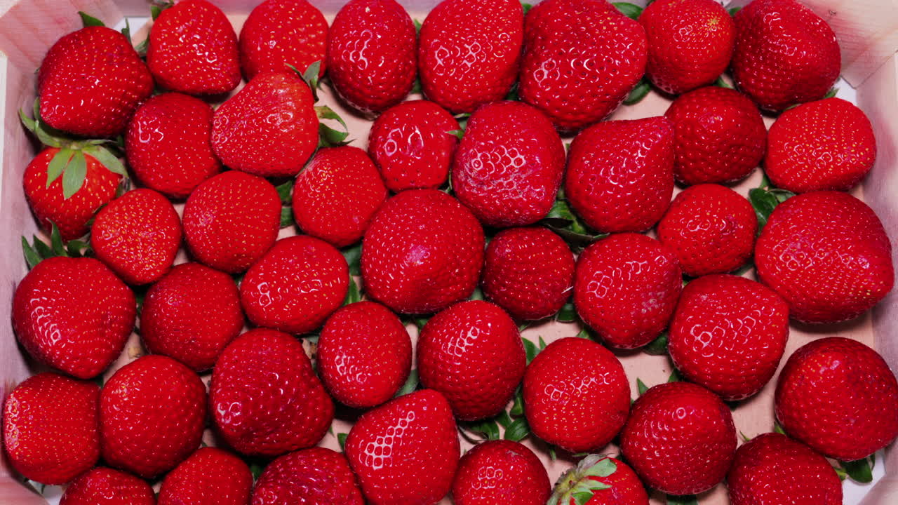 Close up of multiple bright red strawberries with light shining on them